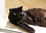     
: my_cats_017.jpg
: 10
:	102.7 
ID:	7700998