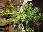     
: IMG_8001.jpg
: 9
:	245.3 
ID:	7701141