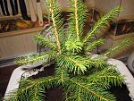     
: IMG_8000.jpg
: 13
:	233.6 
ID:	7701142