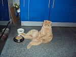     
: DSC01657.jpg
: 37
:	139.1 
ID:	7701455