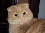     
: DSC01673.jpg
: 34
:	104.0 
ID:	7701457