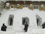     
: 17122009089.jpg
: 8
:	117.7 
ID:	7707841