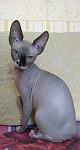     
: IMG_20140218_134853.jpg
: 11
:	62.5 
ID:	7709745