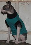     
: IMG_41971.jpg
: 9
:	74.3 
ID:	7710943