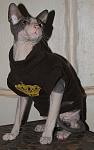     
: IMG_41881.jpg
: 8
:	72.6 
ID:	7710945