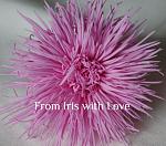     
: DSC01632.jpg
: 28
:	137.8 
ID:	7712568