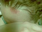     
: 06032012(003).jpg
: 36
:	125.4 
ID:	7718195