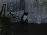     
: DSCN8878.jpg
: 9
:	159.1 
ID:	7718755