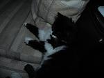     
: DSCN8882.jpg
: 4
:	111.2 
ID:	7718771