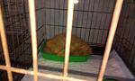     
: IMG_20140219154002.jpg
: 5
:	76.8 
ID:	7718963