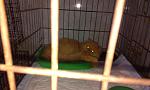     
: IMG_20140219153701.jpg
: 5
:	78.5 
ID:	7718965