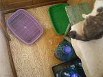     
: P2210435.jpg
: 35
:	158.8 
ID:	7724737