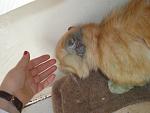     
: P2210442.jpg
: 29
:	98.1 
ID:	7724741