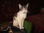     
: P2210433.jpg
: 30
:	104.3 
ID:	7724743