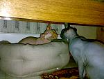     
: 24012010682.jpg
: 63
:	154.7 
ID:	772633