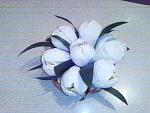     
: IMG_20140221_225159.jpg
: 18
:	150.4 
ID:	7727234