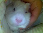     
: 09-01-07_1505.jpg
: 243
:	15.9 
ID:	77277