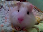     
: 29-08-06_2352.jpg
: 239
:	21.0 
ID:	77278