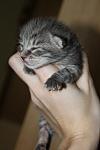     
: pZK_vWKd_So.jpg
: 13
:	51.3 
ID:	7729011
