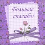     
: 312305543.jpg
: 49
:	34.9 
ID:	7729293