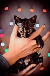    
: getImage-3.jpg
: 24
:	22.2 
ID:	7731276