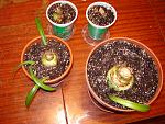    
: DSC01714.jpg
: 12
:	259.9 
ID:	7731633