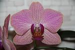     
: IMG_0371.jpg
: 9
:	119.2 
ID:	7732818