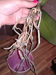    
: 20130602_215822.jpg
: 9
:	89.8 
ID:	7732839