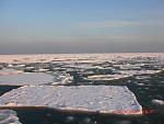     
: CIMG1851.jpg
: 138
:	125.7 
ID:	773352