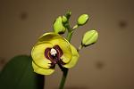     
: IMG_0844.jpg
: 6
:	45.1 
ID:	7734611