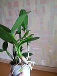     
: 20140220_120139.jpg
: 9
:	78.8 
ID:	7734620