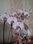     
: 20140220_120533.jpg
: 9
:	93.8 
ID:	7734623