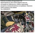     
: 3.jpg
: 4
:	71.5 
ID:	7740436