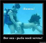     
: 42914851.jpg
: 27
:	33.9 
ID:	7741700