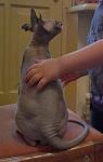     
: IMG_20140225_155810.jpg
: 34
:	62.6 
ID:	7745445