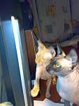     
: 29012010720.jpg
: 50
:	64.7 
ID:	774583