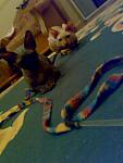     
: 29012010734.jpg
: 46
:	65.2 
ID:	774584