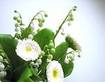     
:  2014 064.jpg
: 6
:	101.8 
ID:	7747679
