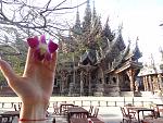     
: DSC07772.jpg
: 12
:	222.5 
ID:	7749783