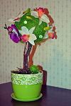     
: DSC_6307.jpg
: 5
:	71.0 
ID:	7751433