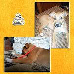     
: 3kqIsrj6ghM.jpg
: 17
:	71.9 
ID:	7752256