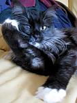     
: IMG_1278.JPG
: 39
:	110.4 
ID:	775275