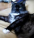     
: IMG_1287.JPG
: 31
:	117.1 
ID:	775277
