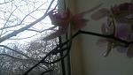     
: IMAG0035.jpg
: 6
:	115.0 
ID:	7754265