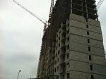     
: IMG_2441.jpg
: 19
:	119.3 
ID:	7756806