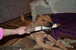     
: RvsspVUxyRU.jpg
: 5
:	176.7 
ID:	7758076