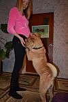    
: EMJ2ZMhhPgc.jpg
: 4
:	133.2 
ID:	7758077