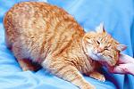     
: DSC_2368_1.jpg
: 6
:	56.1 
ID:	7761524