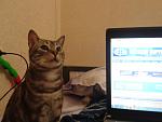     
: 20140214_210616.jpg
: 4
:	97.5 
ID:	7764139