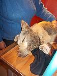     
: 2Uvaq-dp5qk.jpg
: 9
:	182.3 
ID:	7764707